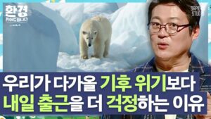 환경 개선을 위해 우리가 무엇을 할 수 있을까요?